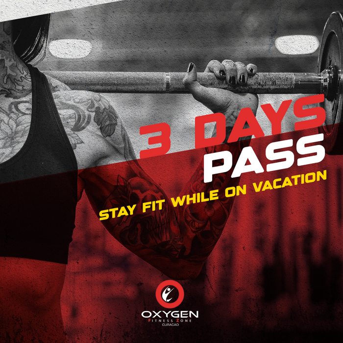 3 DAYS PASS